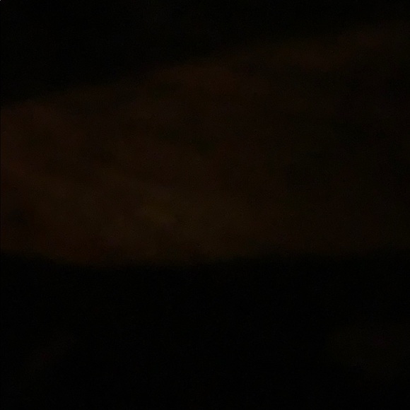 Meet your Posher, Oscar - Picture 1 of 1